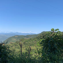 Load image into Gallery viewer, Christmas Coffee 2025 - Vicente Paye, Washed Caturra, Bolivia