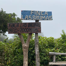 Load image into Gallery viewer, Las Brumas, Natural Pacamara