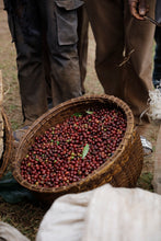 Load image into Gallery viewer, Hunkute, Washed Heriloom Cultivars, Ethiopia
