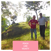 Load image into Gallery viewer, Las Brumas, Natural Gesha, El Salvador