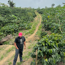 Load image into Gallery viewer, Finca Sunderland Red Honey Yellow Pacamara, Nicaragua