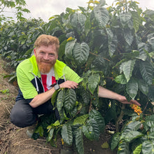 Load image into Gallery viewer, Finca Sunderland Red Honey Yellow Pacamara, Nicaragua