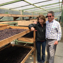 Load image into Gallery viewer, La Fany, Natural Orange Bourbon, El Salvador