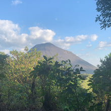 Load image into Gallery viewer, Las Brumas, Natural Pacamara