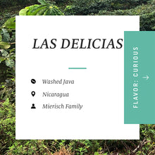 Load image into Gallery viewer, Las Delicias, Washed Java, Nicaragua
