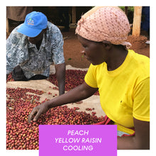 Load image into Gallery viewer, Mugaya AA, Kenya