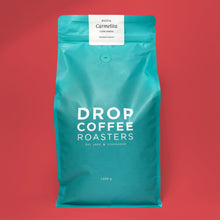 Load image into Gallery viewer, Carmelita, Washed Caturra, Bolivia