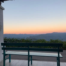 Load image into Gallery viewer, Alasitas, Washed Caturra, Bolivia