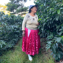 Load image into Gallery viewer, Carmelita, Washed Caturra, Bolivia