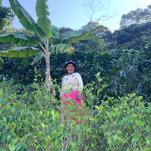 Load image into Gallery viewer, Carmelita, Washed Caturra, Bolivia