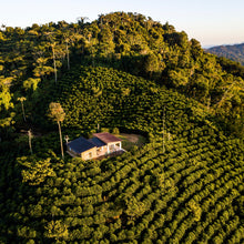 Load image into Gallery viewer, Alasitas, Washed Caturra, Bolivia