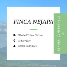 Load image into Gallery viewer, Finca Nejapa, Washed Yellow Caturra, El Salvador