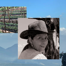 Load image into Gallery viewer, Finca Nejapa, Washed Yellow Caturra, El Salvador
