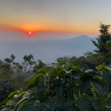 Load image into Gallery viewer, Los Andes, Anaerobic Natural Bourbon, El Salvador