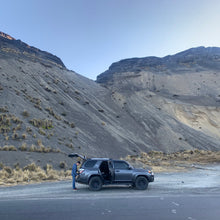 Load image into Gallery viewer, Alasitas, Washed Gesha, Bolivia