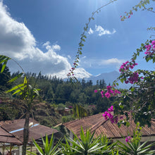 Load image into Gallery viewer, La Soledad, Washed Caturra and Catuaí, Guatemala