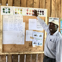 Load image into Gallery viewer, Kamwangi AA, Washed, Kenya