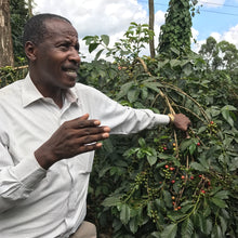 Load image into Gallery viewer, Kamwangi AA, Washed, Kenya