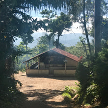 Load image into Gallery viewer, Las Delicias, Natural Java, Nicaragua