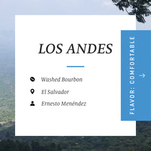 Load image into Gallery viewer, Los Andes, Washed Bourbon, El Salvador