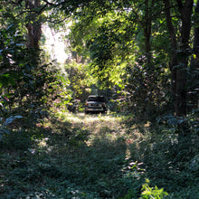 Load image into Gallery viewer, Los Andes, Washed Bourbon, El Salvador