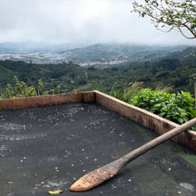 Load image into Gallery viewer, Doña Daisy, Red Honey Gesha, Costa Rica