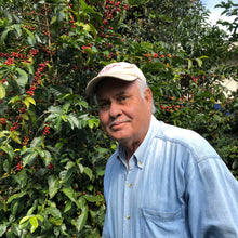 Load image into Gallery viewer, Doña Daisy, Red Honey Gesha, Costa Rica