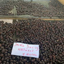 Load image into Gallery viewer, Doña Daisy, Red Honey Gesha, Costa Rica