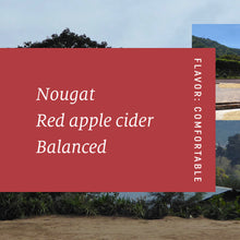 Load image into Gallery viewer, San Cayetano, Washed Red Caturra, El Salvador