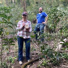Load image into Gallery viewer, Finca Nejapa, Washed Yellow Caturra, El Salvador