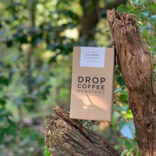 Load image into Gallery viewer, Los Andes, Washed Bourbon, El Salvador