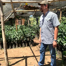 Load image into Gallery viewer, Los Andes, Washed SL28, El Salvador