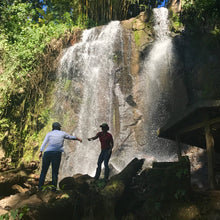 Load image into Gallery viewer, Las Delicias, Washed Java, Nicaragua