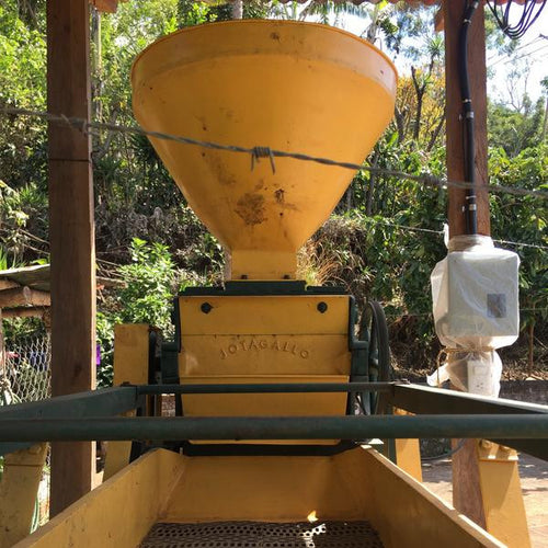El Sunzita - Pacas,  El Salvador