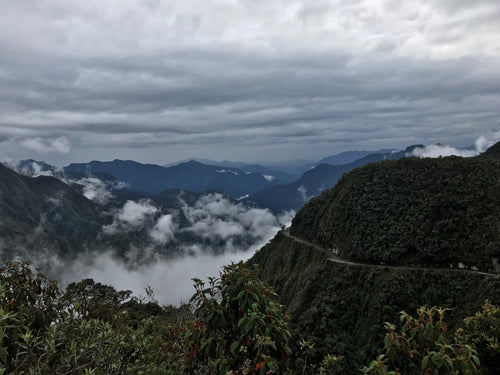 Bolivia as a coffee producing country