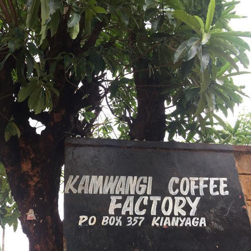 Kamwangi AA, Kenya