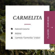 Ladda upp bild till gallerivisning, Carmelita Natural Caturra, Bolivia
