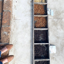 Load image into Gallery viewer, La Fany, Natural Orange Bourbon, El Salvador
