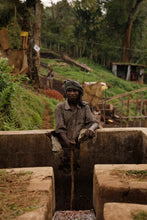 Load image into Gallery viewer, Hunkute, Washed Heriloom Cultivars, Ethiopia
