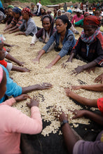 Load image into Gallery viewer, Hunkute, Washed Heriloom Cultivars, Ethiopia
