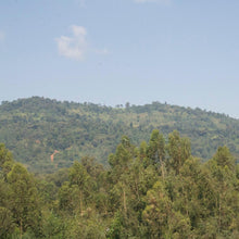 Load image into Gallery viewer, Nano Challa, Washed Heirloom, Ethiopia - Organic
