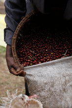 Load image into Gallery viewer, Hunkute, Washed Heriloom Cultivars, Ethiopia
