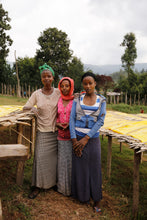 Load image into Gallery viewer, Hunkute, Washed Heriloom Cultivars, Ethiopia
