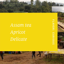 Load image into Gallery viewer, Hunkute, Ethiopia - ORGANIC

