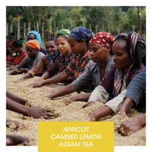 Load image into Gallery viewer, Hunkute, Washed 74410 &amp; 74112, Ethiopia
