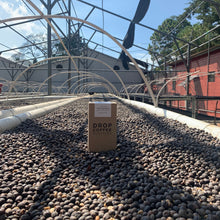 Load image into Gallery viewer, La Fany, Natural Orange Bourbon, El Salvador

