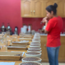 Load image into Gallery viewer, La Fany, Natural Orange Bourbon, El Salvador
