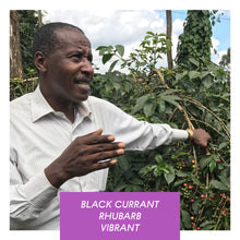 Load image into Gallery viewer, Kamwangi AA, Washed, Kenya
