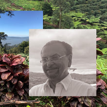 Load image into Gallery viewer, Las Delicias, Washed Java, Nicaragua
