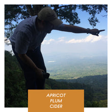 Load image into Gallery viewer, Las Brumas, Washed Pacamara
